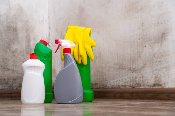 Titusville, PA Mold Prevention & Removal  Company